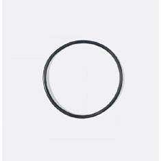 BANJO POLY PUMP O-RING SEAL