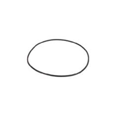 BANJO 2" POLY PUMP BODY O-RING 