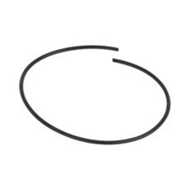 BANJO POLY PUMP VI O-RING SEGMENT