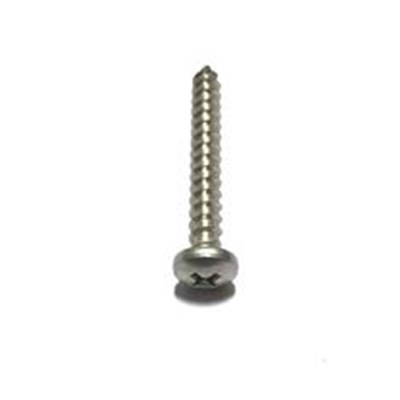 BANJO POLY PUMP VOLUTE SCREW #10 X 1 1/2" SS