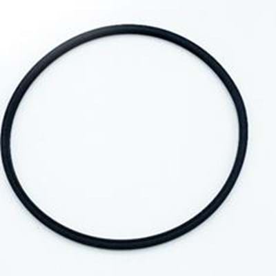 MICRO-TRAK O-RING - FM750 GFN FLOWMETER
