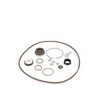 BANJO 13999V 3" VITON PUMP O'RING KIT 