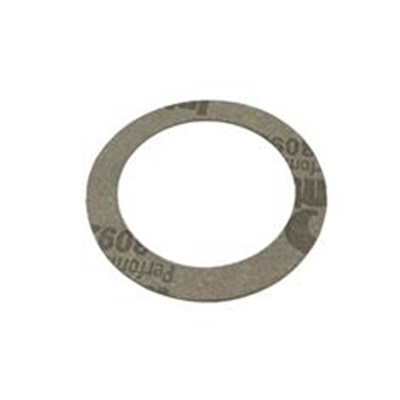 HYPRO 1700-0098 GASKET 