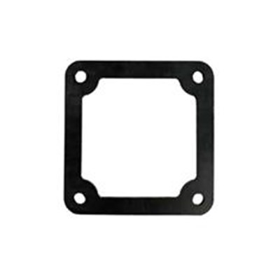 SS 2" PUMP VITON OUTLET GASKET 