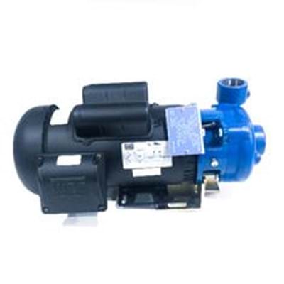 SCOT Series 51 Cast Iron Pump with Viton Seals, 3 HP | Ag Spray Equipment
