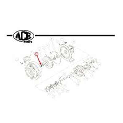 ACE NUT; 3/8" NFG HEX; SS 0