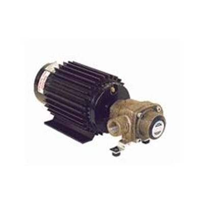 4101N-E2H PUMP &amp; MOTOR ASSY 