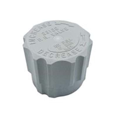 CP23122-NY ADJUSTING CAP, NYLON