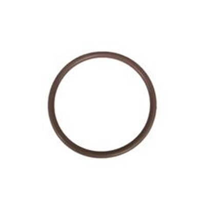 CP7717-2/226-VI O RING, VITON, 124 STRAINER