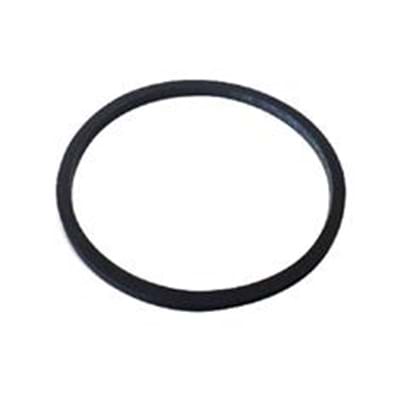 TEEJET GASKET, BUNA FOR 124 - 2" T-LINE STRAINER