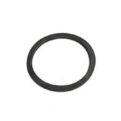 TEEJET GASKET, VITON FOR 122 T-LINE STRAINER