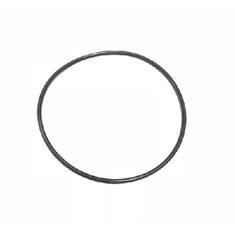 LARGE BODY EPDM O-RING SEAL 2" FP & 2" FPNZ