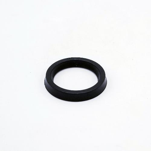 DOSTEC SEAL 35 X 45 X 6 FPM FOR P34 MODEL PUMPS