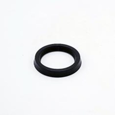 DOSTEC SEAL 35 X 45 X 6 FPM FOR P34 MODEL PUMPS