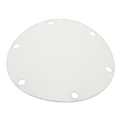 AGRI-INJECT TEFLON DIAPHRAGM FOR 6 BOLT A OR P SERIES PUMPS