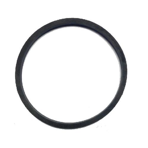 TEEJET 126 SERIES LINE STRAINER VITON GASKET