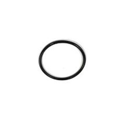 BANJO 1" -1 1/4" STRAINER Y - SCREEN O'RING-EPDM