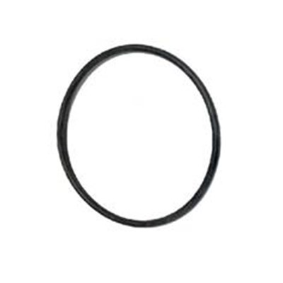 BANJO 1 1/2"- 2" STRAINER Y - SCREEN O'RING-EPDM