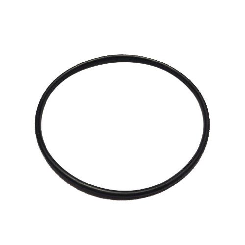 BANJO 2" FULL PORT FLANGE Y - STRAINER BODY GASKET