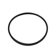 BANJO 2" FULL PORT FLANGE Y - STRAINER BODY GASKET