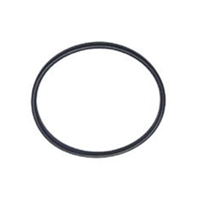 BANJO 3" FLANGE Y-STRAIN END CAP GASKET - EPDM