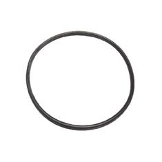 BANJO 3" FLANGE Y- STRAINER CAP GASKET -EPDM