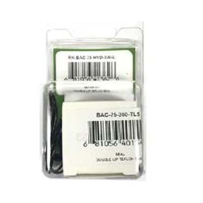 ACE REPAIR KIT,300 SERIES HYDRAULIC MOTOR