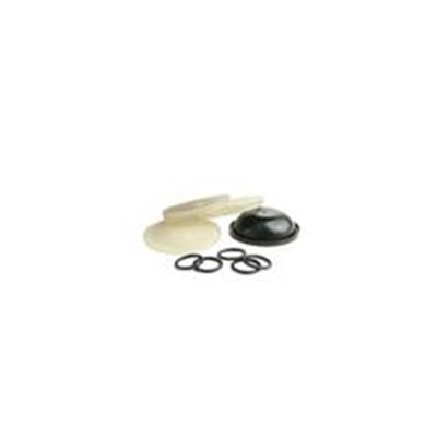 DIAPHRAGM KIT DESMOPAN AR160