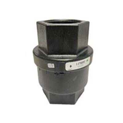 Banjo 2" FULL PORT CHECK VALVE