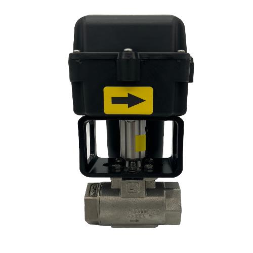 RAVEN 1" NH3 CARBON STEEL REGULATING VALVE