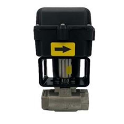 RAVEN 1" NH3 CARBON STEEL REGULATING VALVE