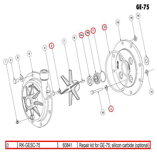 ACE REPAIR KIT FOR GE-75 W/ SILICON CARBIDE SEAL
