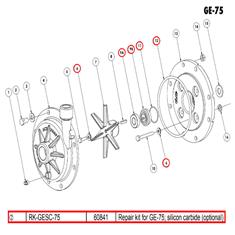 ACE REPAIR KIT FOR GE-75 W/ SILICON CARBIDE SEAL